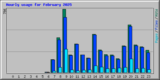 Hourly usage for February 2025