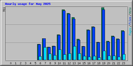 Hourly usage for May 2025