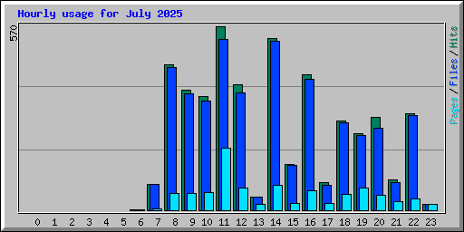 Hourly usage for July 2025