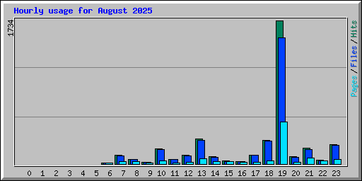 Hourly usage for August 2025