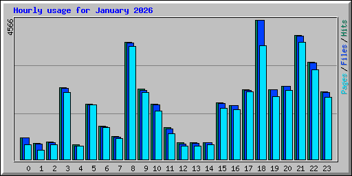 Hourly usage for January 2026