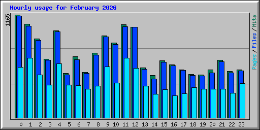 Hourly usage for February 2026
