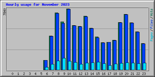 Hourly usage for November 2023