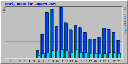 Hourly usage for January 2024