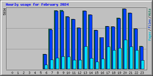 Hourly usage for February 2024