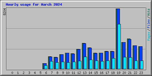 Hourly usage for March 2024