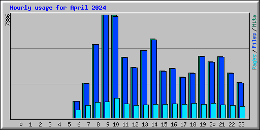 Hourly usage for April 2024