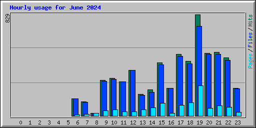 Hourly usage for June 2024