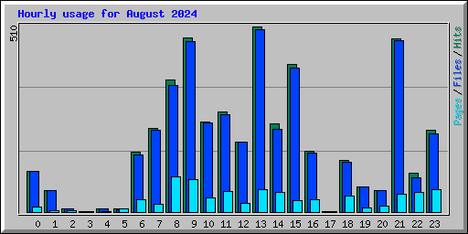 Hourly usage for August 2024