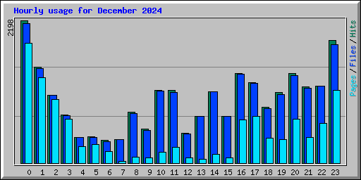 Hourly usage for December 2024